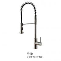 Y19